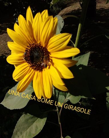 Appartamento in residenziale in Via Gotica