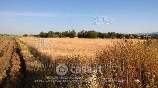 Terreno agricolo in commerciale in Via Ollastu