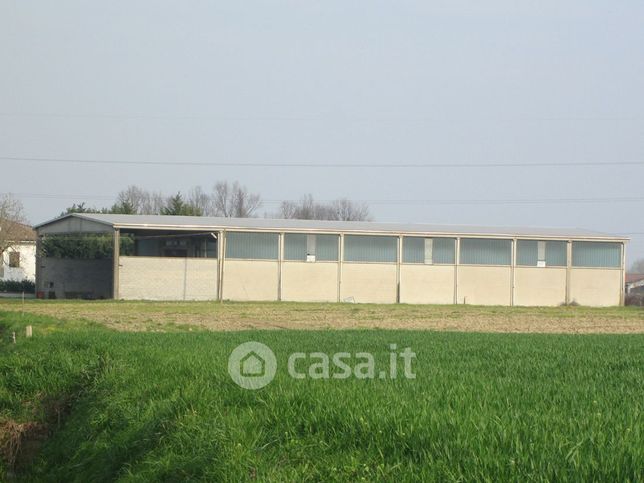 Capannone in commerciale in Via Case Sparse di Cappella 26