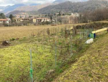 Terreno agricolo in commerciale in Via Antonio Stoppani