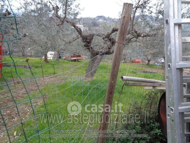 Terreno agricolo in commerciale in SS16bis