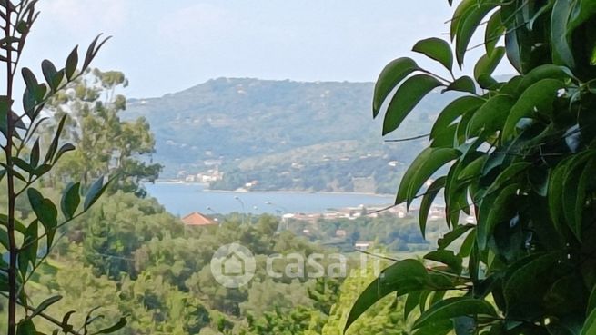 Terreno agricolo in commerciale in Via Scifro