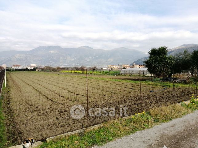 Terreno agricolo in commerciale in Via Carrara D'amora