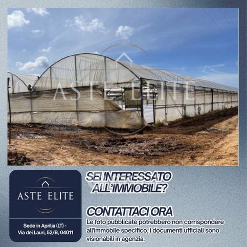 Terreno agricolo in commerciale in Via di Cavallo Morto
