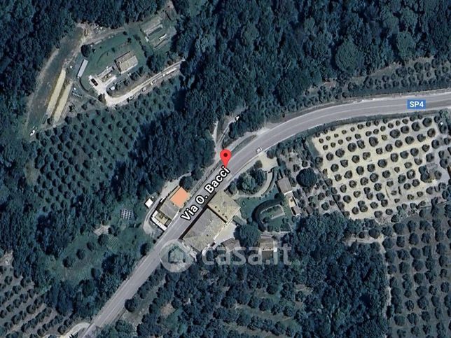 Capannone in commerciale in Via Orazio Bacci