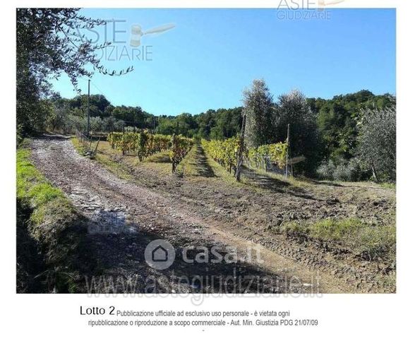 Terreno agricolo in commerciale in 