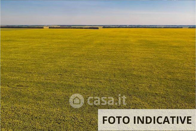 Terreno agricolo in commerciale in Via Del Torchio