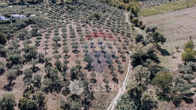 Terreno agricolo in commerciale in 