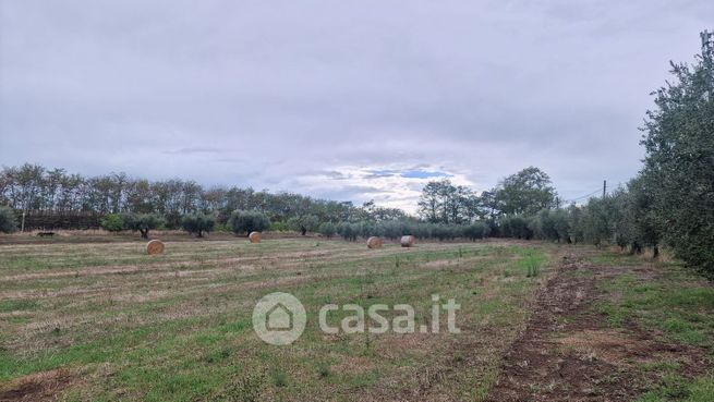 Terreno agricolo in commerciale in Via dei Cinque Archi