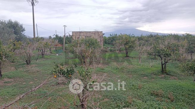 Terreno agricolo in commerciale in Contrada Davara