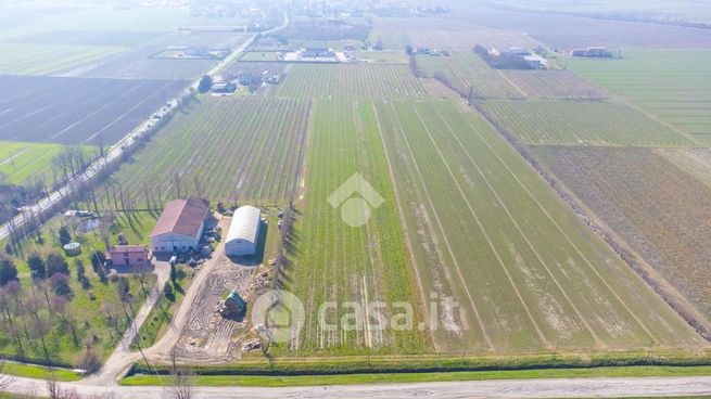 Terreno agricolo in commerciale in Via dei Grilli