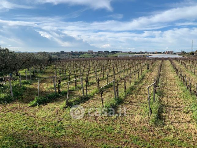 Terreno agricolo in commerciale in Via Laurentina