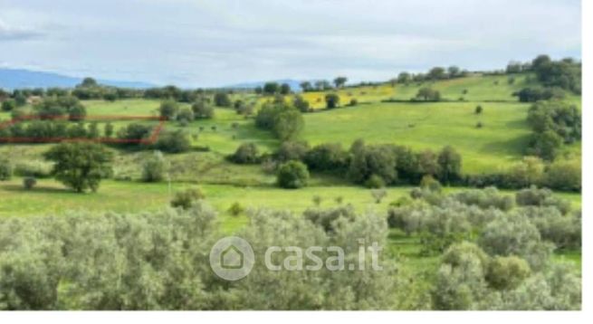 Terreno agricolo in commerciale in Via Vignale