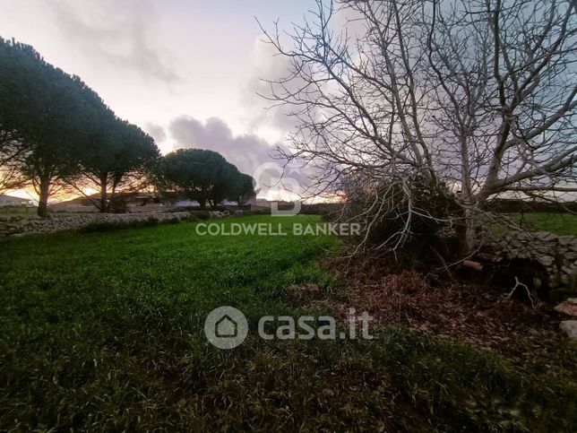 Terreno agricolo in commerciale in Via Canonico Giorgio Occhipinti