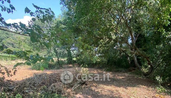 Terreno agricolo in commerciale in Strada San Vittorino
