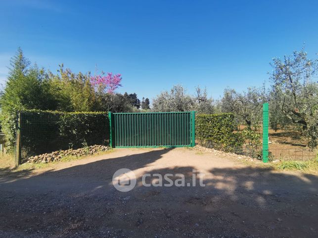 Terreno agricolo in commerciale in torrevecchia