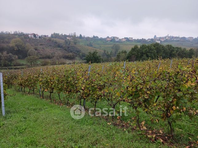 Terreno agricolo in commerciale in Strada per garbagna
