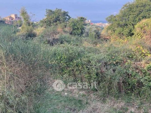 Terreno agricolo in commerciale in