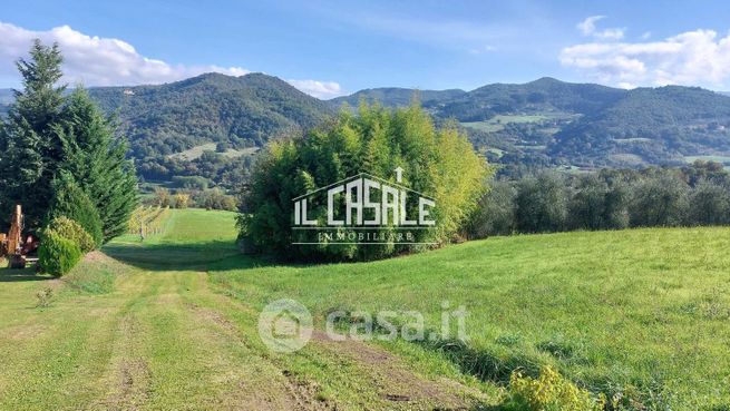 Terreno agricolo in commerciale in Strada provinciale 41 di Sagginale 7