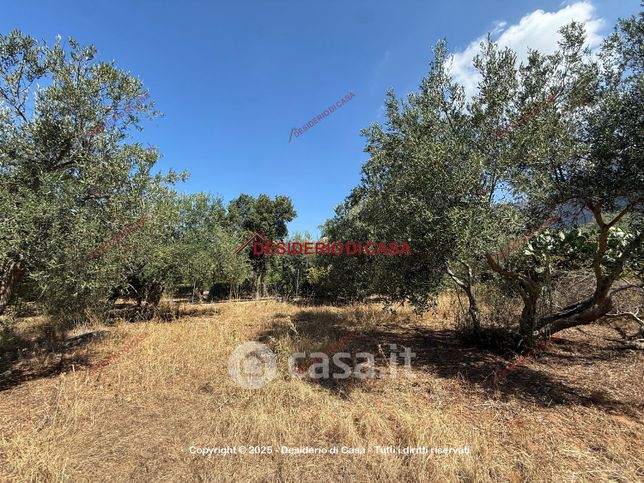 Terreno agricolo in commerciale in Strada Statale 113 Settentrionale Sicula 205