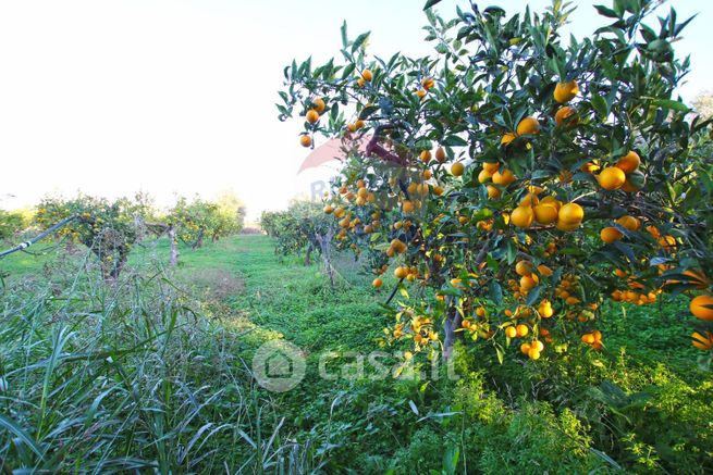 Terreno agricolo in commerciale in Contrada Marcellino