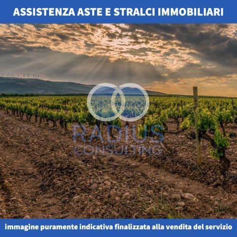 Terreno agricolo in commerciale in Via Conversano