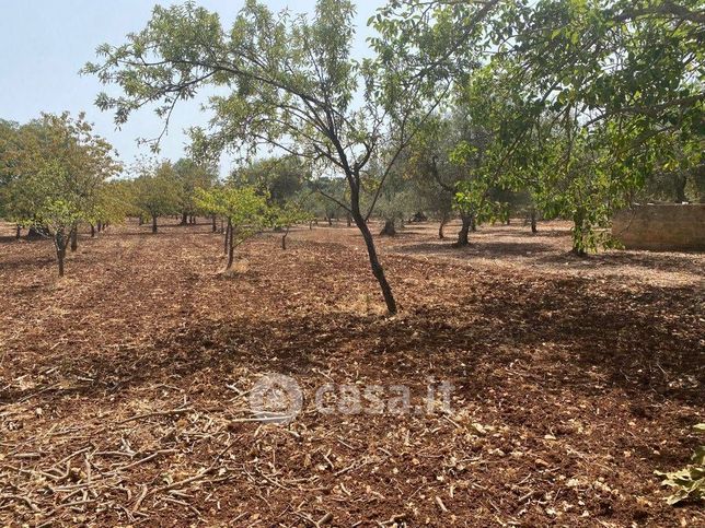 Terreno agricolo in commerciale in 