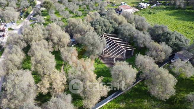 Terreno agricolo in commerciale in Strada Vicinale Santu Tettaru