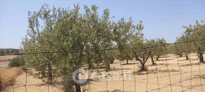 Terreno agricolo in commerciale in olivella