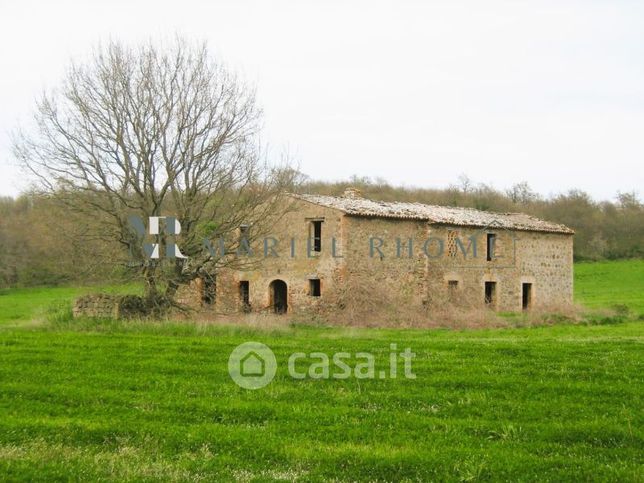 Terreno agricolo in commerciale in Strada VICINALE CAMPO MORINO n