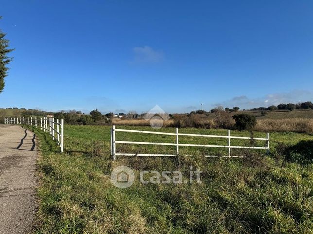 Terreno agricolo in commerciale in Strada San Savino