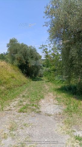 Terreno agricolo in commerciale in 