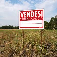 Terreno agricolo in commerciale in Via Alserio