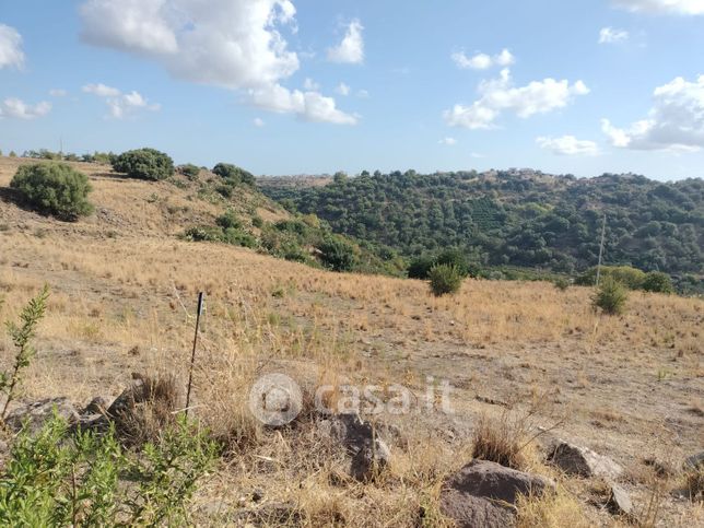 Terreno agricolo in commerciale in Via Ciricò