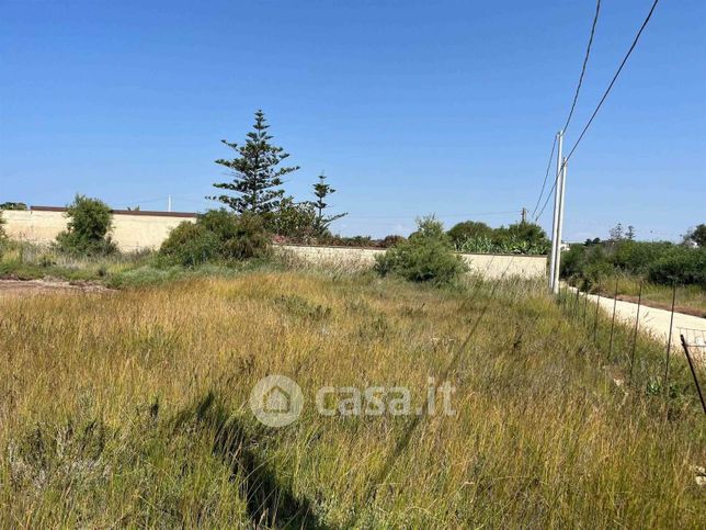Terreno agricolo in commerciale in Strada Senza Nome