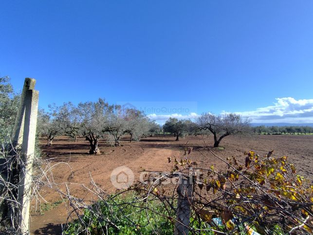 Terreno agricolo in commerciale in SP3