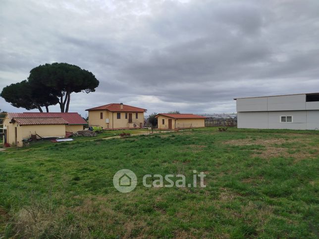 Terreno agricolo in commerciale in Via Vigne Nuove