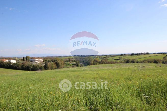 Terreno agricolo in commerciale in 