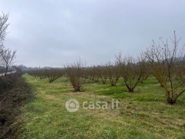 Terreno agricolo in commerciale in Via Cassia