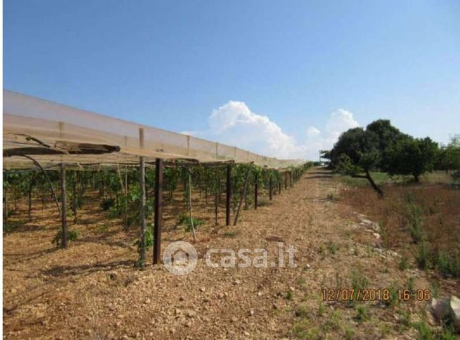 Terreno edificabile in residenziale in Strada Senza Nome