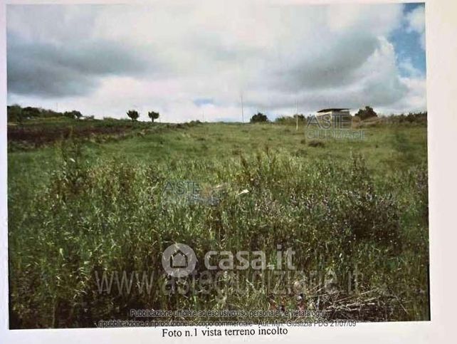 Terreno agricolo in commerciale in Calle da Ramalia