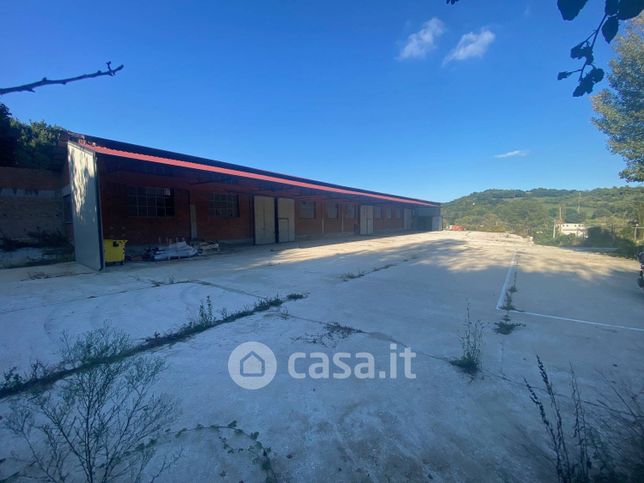 Capannone in commerciale in Strada del Ponte Nuovo