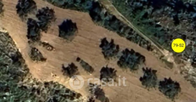 Terreno agricolo in commerciale in Strada Statale 115