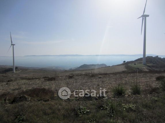 Terreno agricolo in commerciale in Strada Provinciale 162