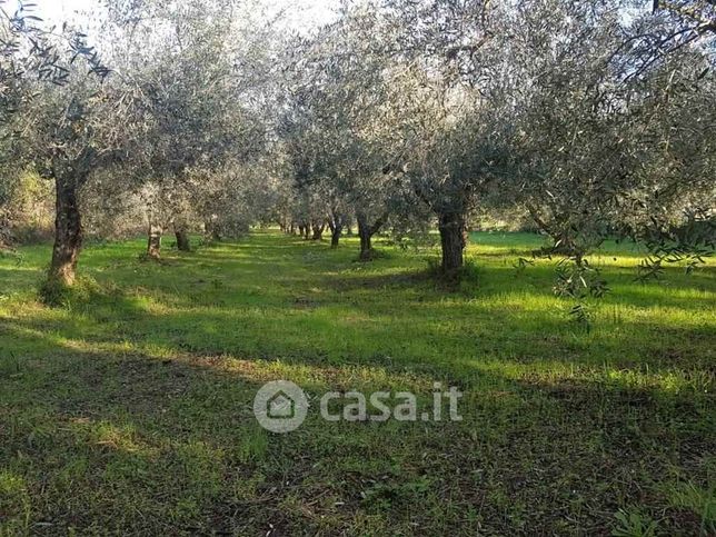 Terreno agricolo in commerciale in 