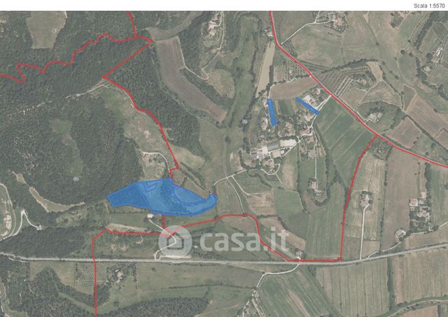 Terreno agricolo in commerciale in Strada Provinciale 38