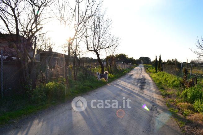 Terreno agricolo in commerciale in Località Sassicaia
