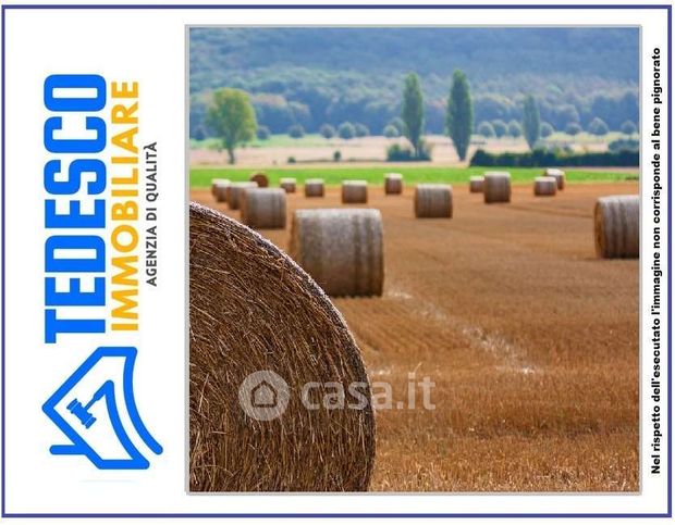 Terreno agricolo in commerciale in Via Nazionale