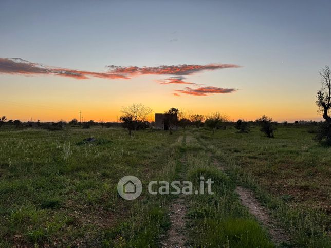 Terreno agricolo in commerciale in Strada Comunale Copertino