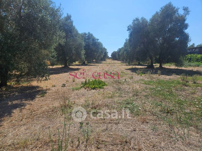 Terreno agricolo in commerciale in Strada Rugginosa Vecchia